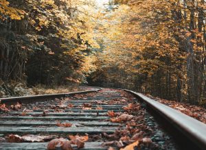 Train tracks in the woods during autumn